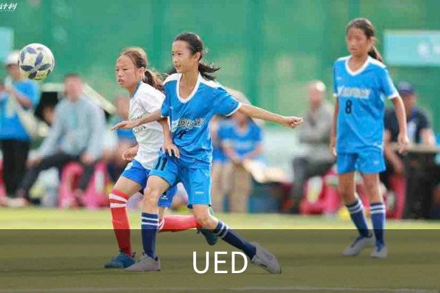 UED公司环境